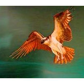 Daphne Turner's photo