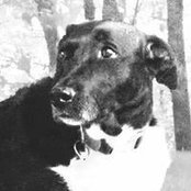 Joyce Hill's photo
