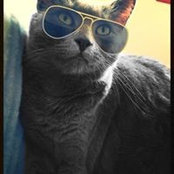 Cathy Wayne's photo