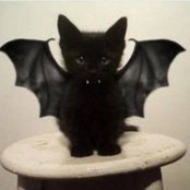 Johanna Fattore's photo