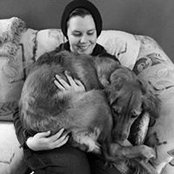 Sheena Ronnebaum's photo