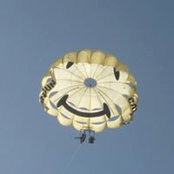 Vicki Thomas's photo