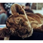 Daniel Skogli's photo