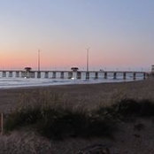 Deborah Scheerbaum's photo