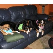Cyndi Rexroad's photo