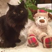 Richard Kenney's photo