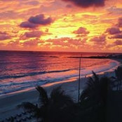 Tammy Rose's photo