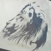 David Dalton's photo