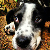 Regan Greer's photo