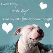 Rosemary Tramantano's photo