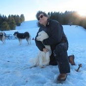Philippe Jean-pierre's photo