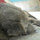 Thành Tín