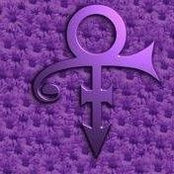 Kim Cheever's photo