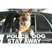 Norbit Traner's photo