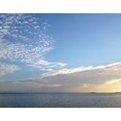 Denis Javier's photo