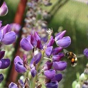Анна Власова's photo