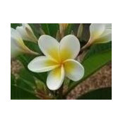 Keryn Grech's photo