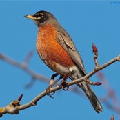 Heather Corstvet's photo