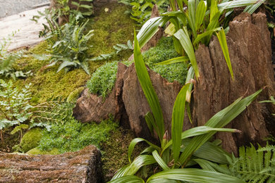 Photo of a traditional landscaping in Philadelphia.