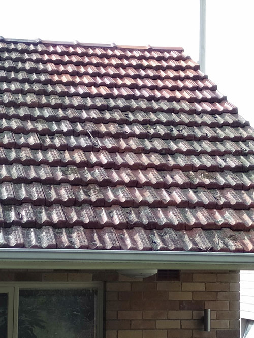 Painting downpipes Houzz AU