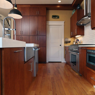 Somerville Modern Kitchen Remodel