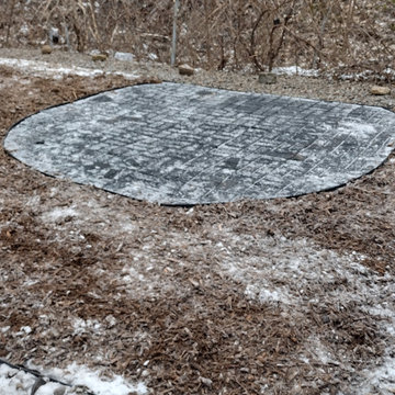 Regina's Dog-Friendly Yard