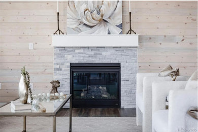 Transitional living room photo in Denver