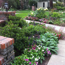 Front Yard Landscape