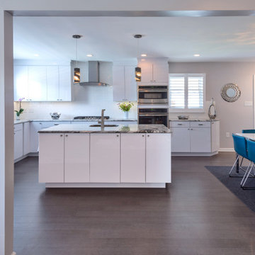 Contemporary White Kitchen