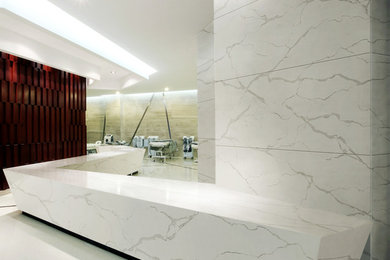 Polarstone Reception