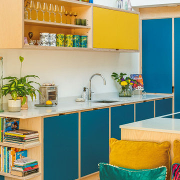 Blue Plywood Kitchen
