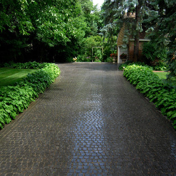 Wayzata