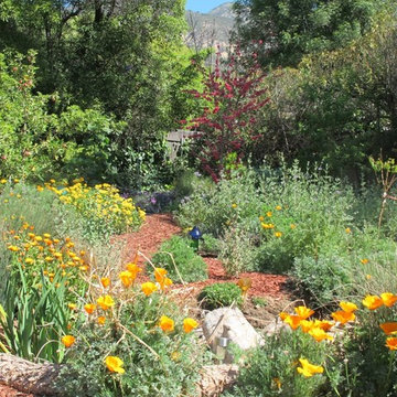 Water harvesting xer