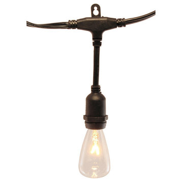 Electric String Lights, Commercial Grade Edison Style, 12-Light