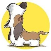 Bee Gee's photo