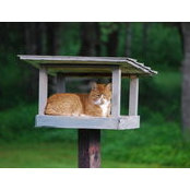 Kathryn Moran's photo