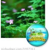Regla Orue's photo