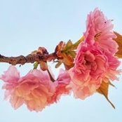Linn Roby's photo