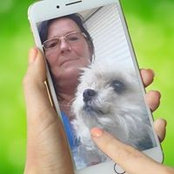 Sylvia Schmurr's photo