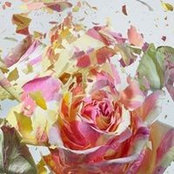 Lisa Charbonneau's photo