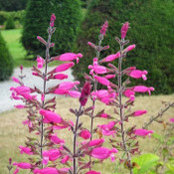 judith mcclure's photo