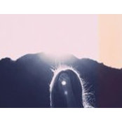 Alana Bloye's photo