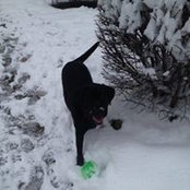 Cathy Milbourn's photo