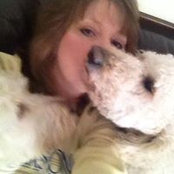 Ellen Bogotay's photo