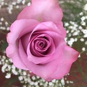 Kathy Maconga's photo
