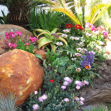Small Water Wise Townhouse Garden