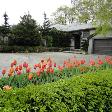 Spring Bulb Designs