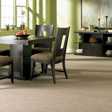 Captivating Carpet