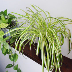 Embreate office - Home Decor