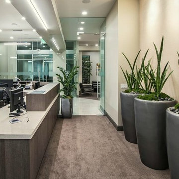 Caldwell Dental in Cypress